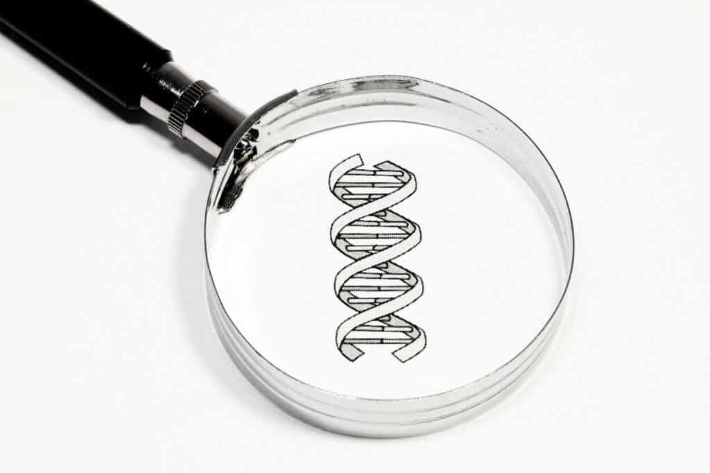 Diät-Check: Die Gendiät - fotolia#54448312